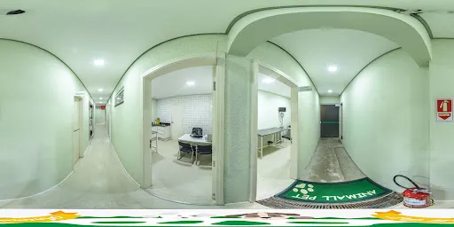 Panorama 360° de Animall Pet Clinica Veterinária 24hs, Itapetininga, no Google Maps