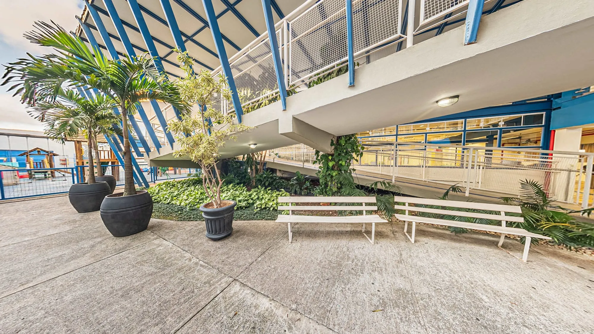 Pátio do Colégio Alpis Veredas, com jardim de palmeiras em vasos pretos, bancos brancos e a rampa de estrutura azul que leva ao piso superior