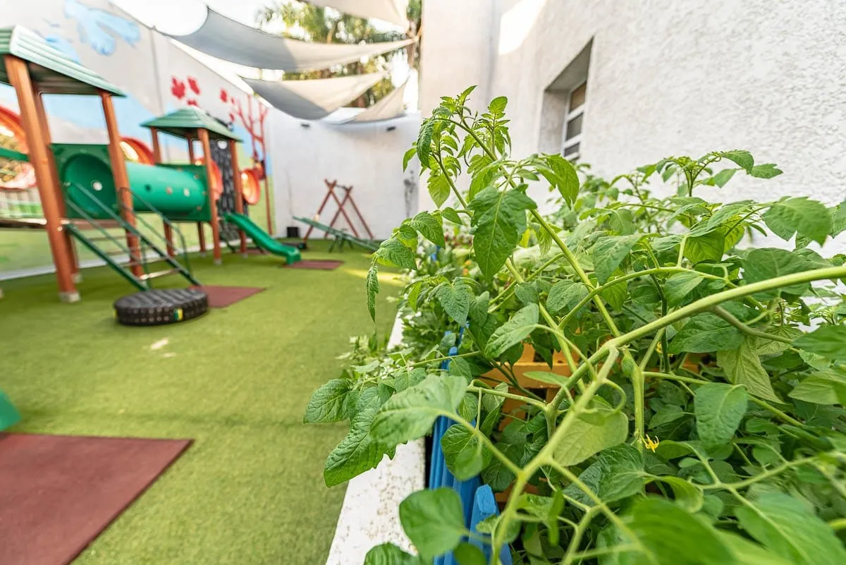 Plantas em canteiro no primeiro plano, com o parquinho e os brinquedos ao fundo