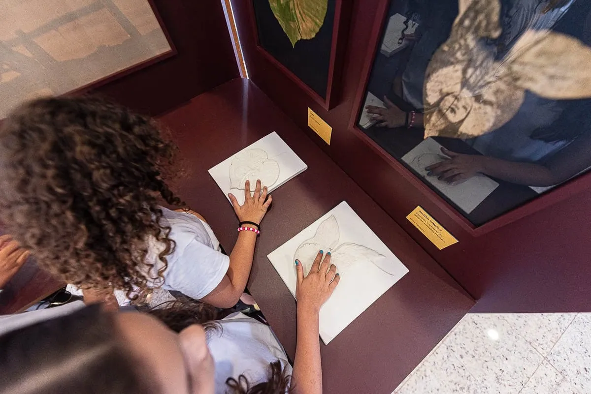 Visitante toca uma prancha em relevo ao lado de obra da exposição Terra Terreno Território