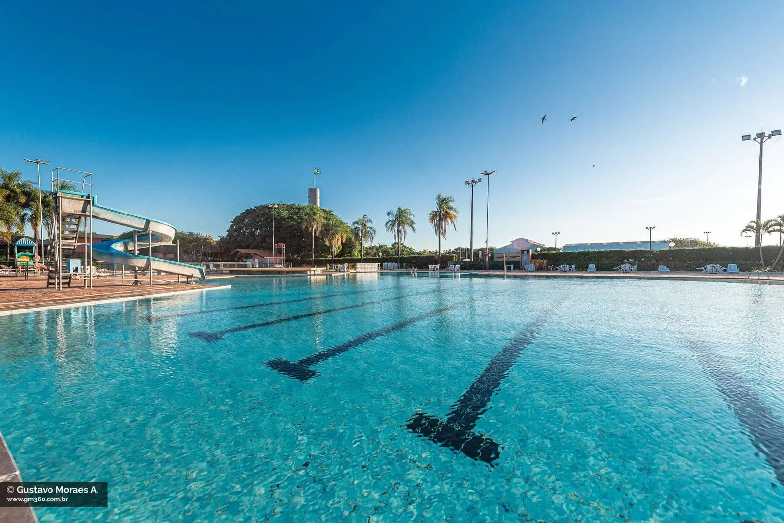 Piscina com raias e palmeiras ao fundo